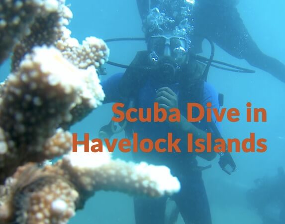 scuba dive in havelock island