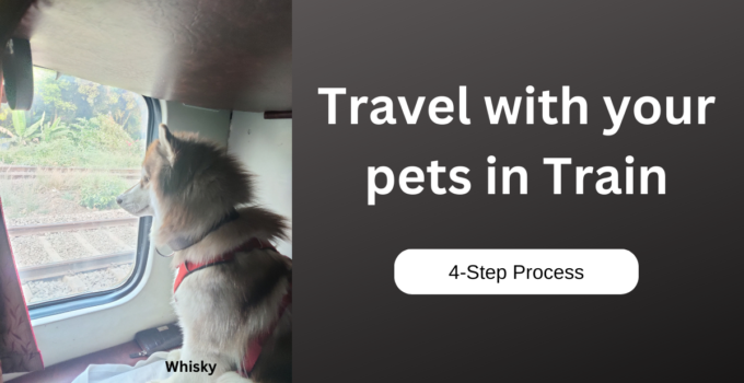 Travel with your pets in Train