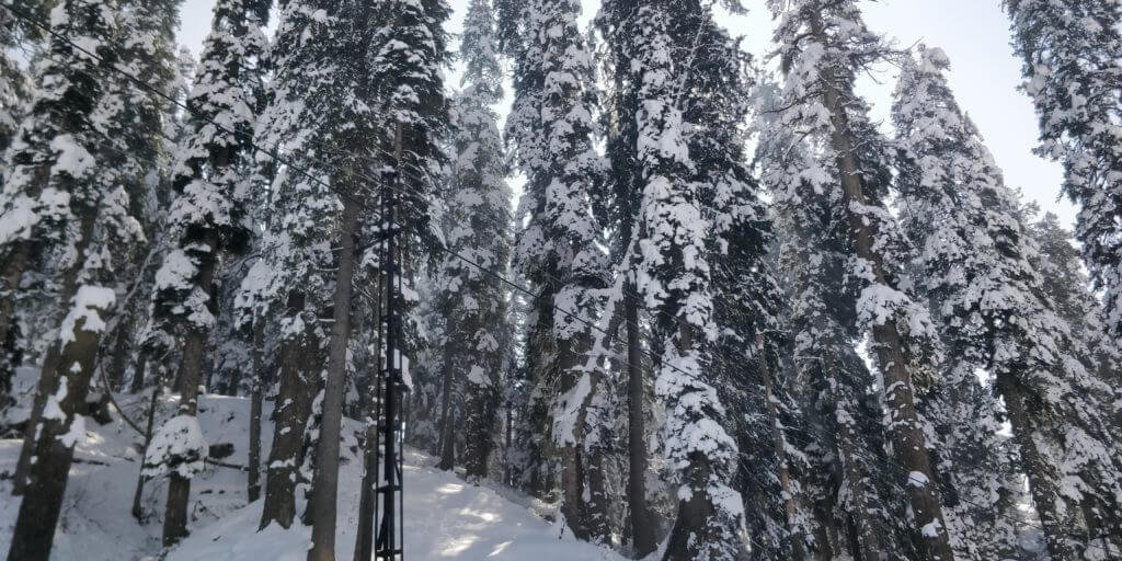 Gulmarg Ski 5 - kashmir travel - How to plan a solo trip to Kashmir