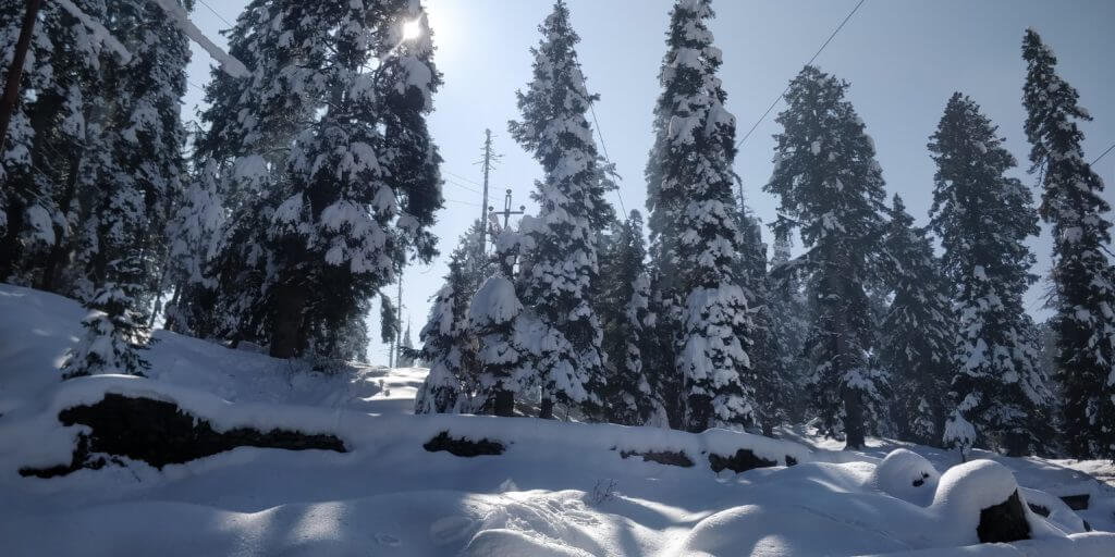 Gulmarg Ski 8 - kashmir travel - How to plan a solo trip to Kashmir