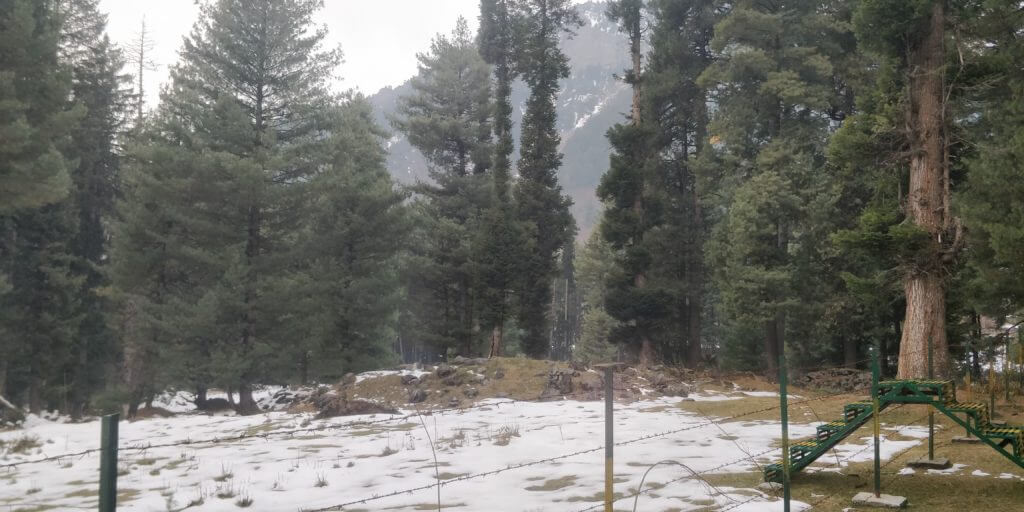 Betaab Valley 2 - How to plan a solo trip to Kashmir