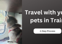 Travel with your pets in Train